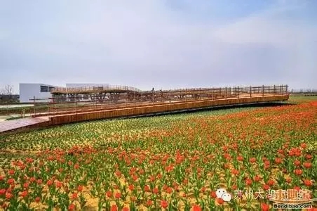 大脑地图常熟港澳城中心 大脑地图常熟港澳城中心