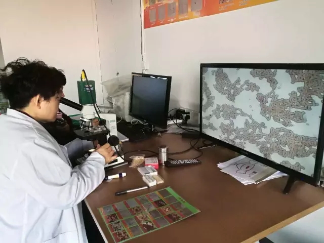 大脑地图常熟港澳城中心 大脑地图常熟港澳城中心