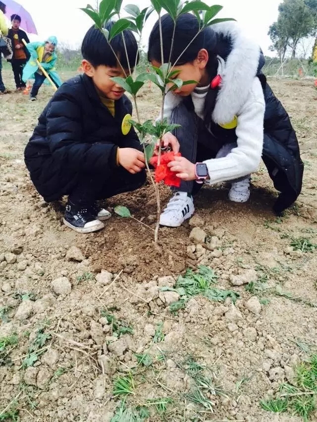 大脑地图常熟港澳城中心 大脑地图常熟港澳城中心