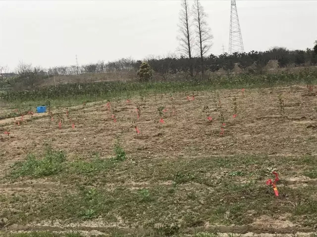 大脑地图常熟港澳城中心 大脑地图常熟港澳城中心