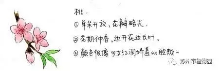 大脑地图常熟港澳城中心