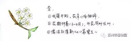 大脑地图常熟港澳城中心