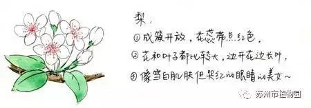 大脑地图常熟港澳城中心