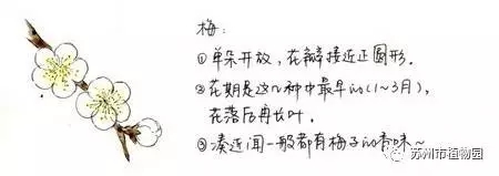 大脑地图常熟港澳城中心