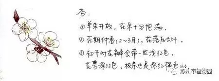 大脑地图常熟港澳城中心