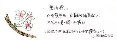 大脑地图常熟港澳城中心