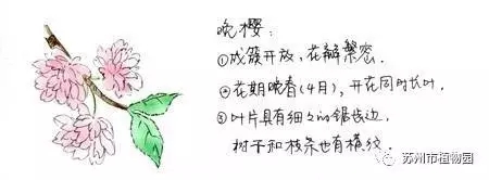 大脑地图常熟港澳城中心