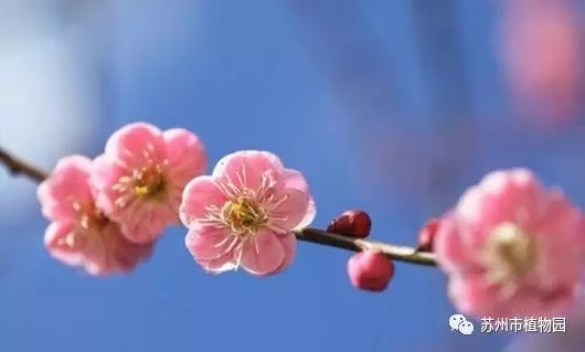 大脑地图常熟港澳城中心