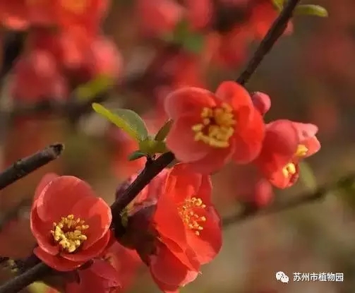 大脑地图常熟港澳城中心