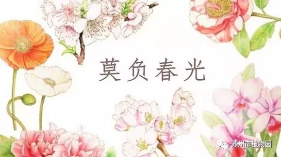 大脑地图常熟港澳城中心