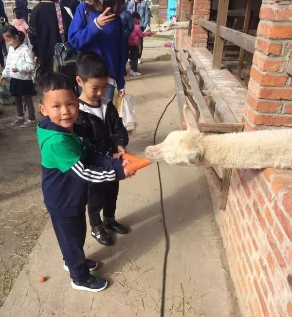 大脑地图常熟港澳城中心